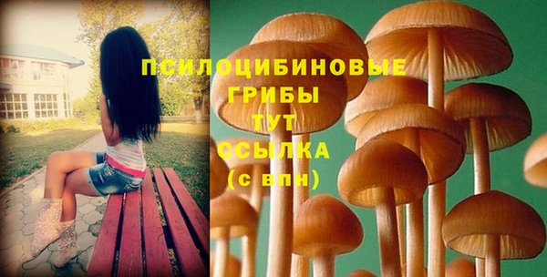 a pvp Балабаново
